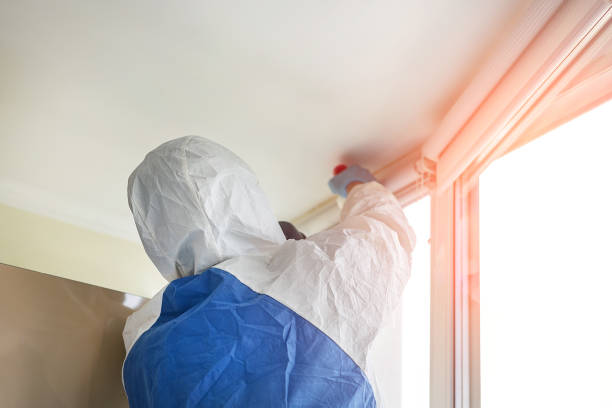 Mold Odor Removal Services in Kentfield, CA